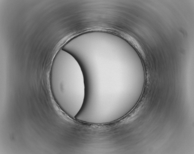 X0000113070954200908281007