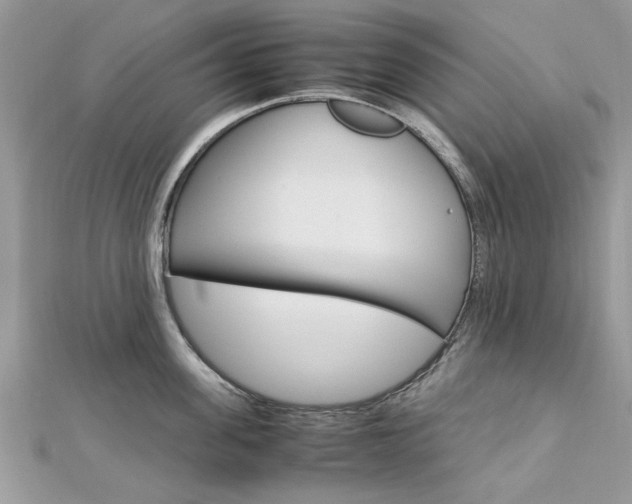X0000113070955200908281007