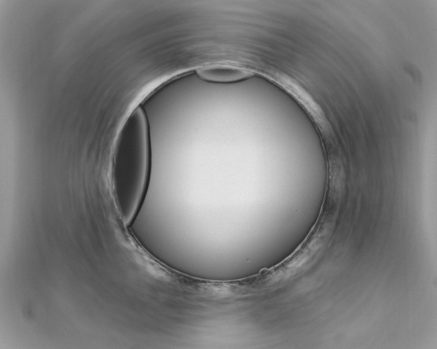 X0000113070956200908281007