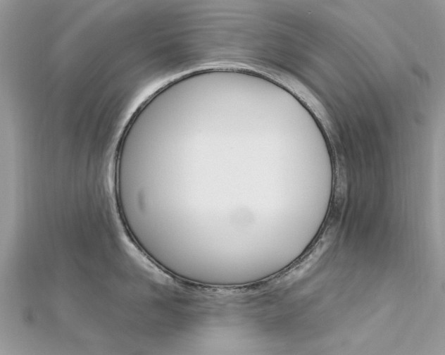 X0000113070958200908281007