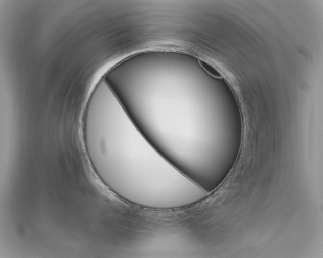 X0000113070960200908281007