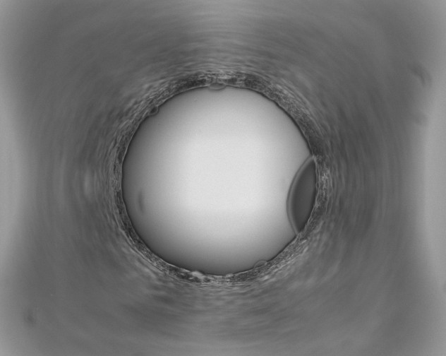 X0000113070961200908281006
