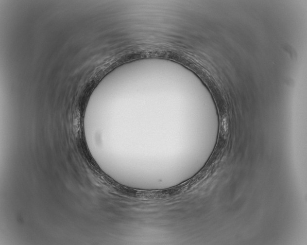 X0000113070963200908281006
