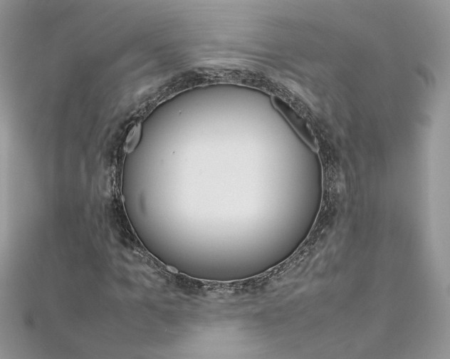 X0000113070965200908281006