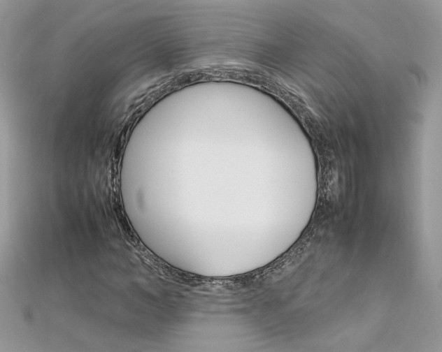 X0000113070966200908281006