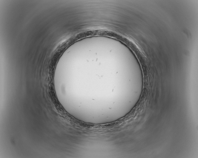 X0000113070967200908281006