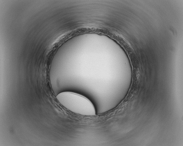 X0000113070968200908281006