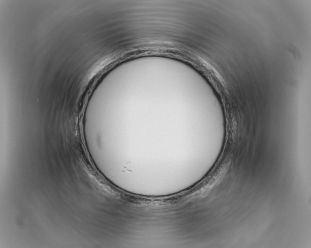 X0000113070970200908281006