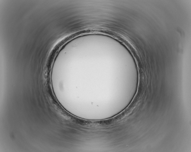 X0000113070971200908281006