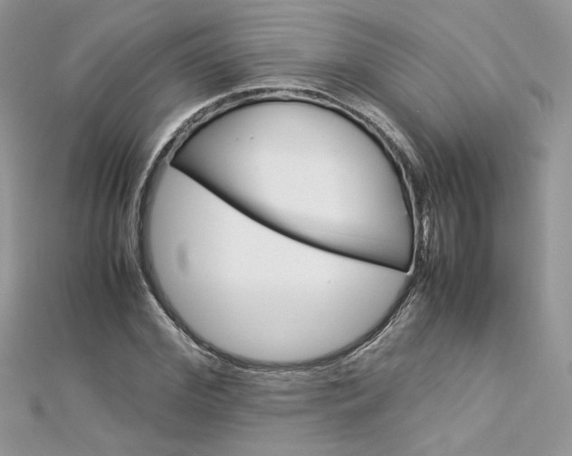 X0000113070972200908281006