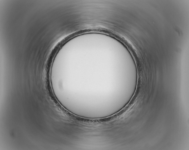 X0000113070975200908281006