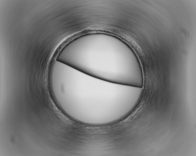 X0000113070976200908281006