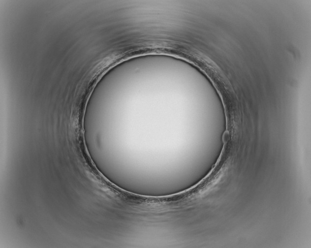 X0000113070977200908281006