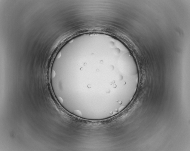 X0000113070978200908281006