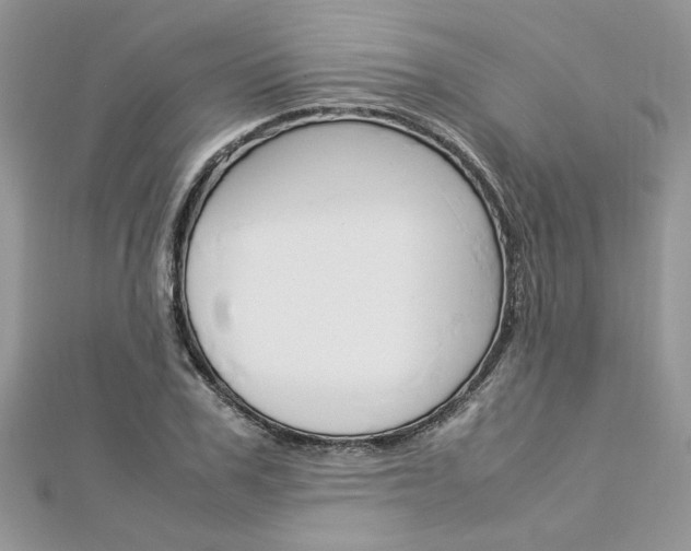 X0000113070979200908281006