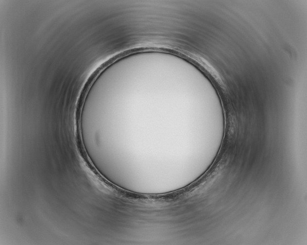 X0000113070980200908281006