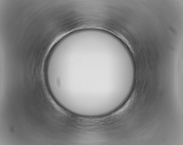 X0000113070981200908281006