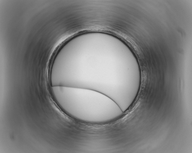 X0000113070982200908281006