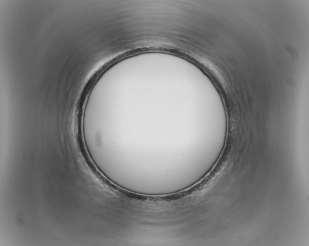 X0000113070983200908281006