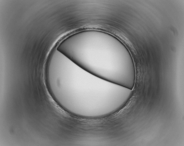 X0000113070984200908281006