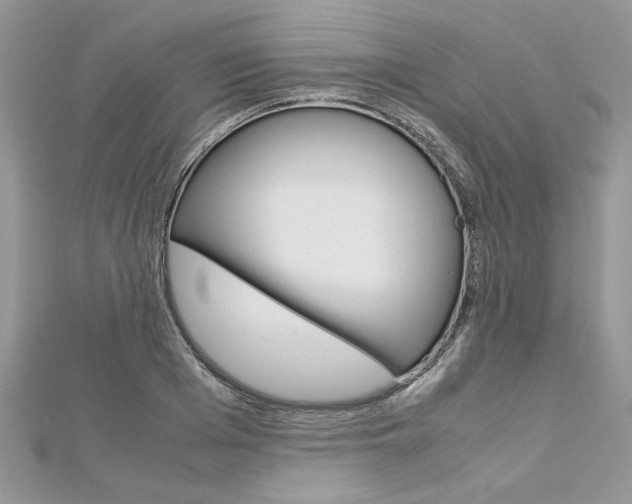 X0000113070985200908281006