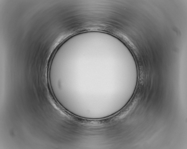 X0000113070986200908281006