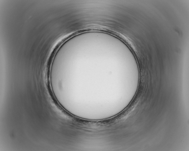 X0000113070987200908281006