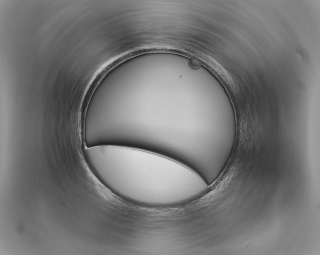 X0000113070988200908281006