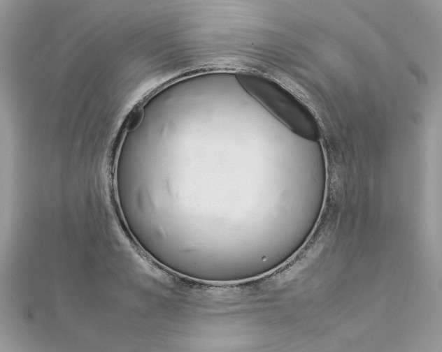 X0000113070989200908281006