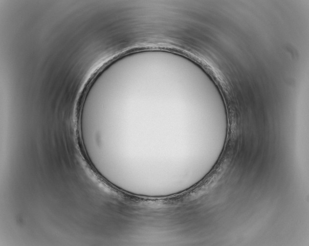 X0000113070990200908281006