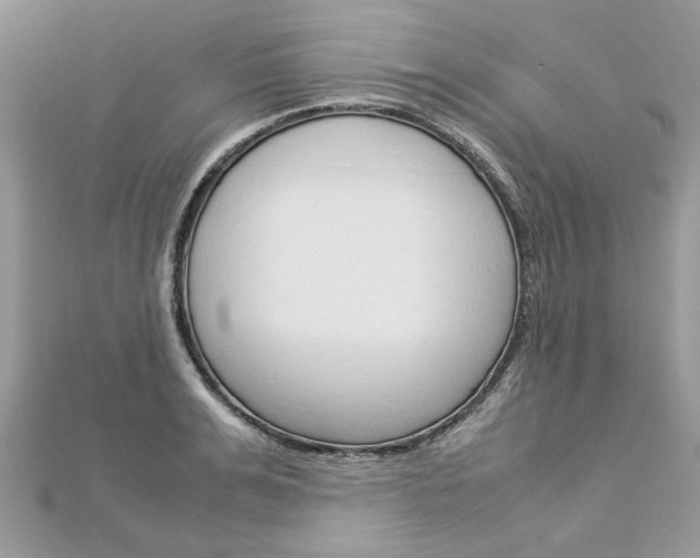 X0000113070991200908281006