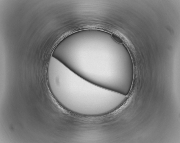 X0000113070993200908281006