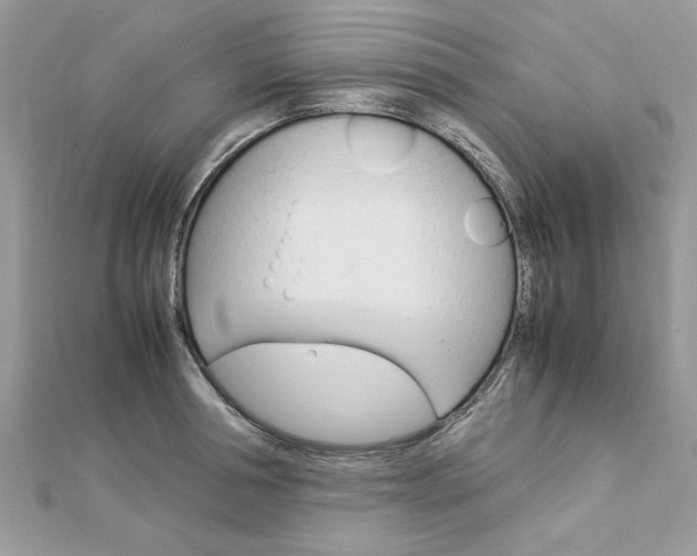 X0000113070994200908281006