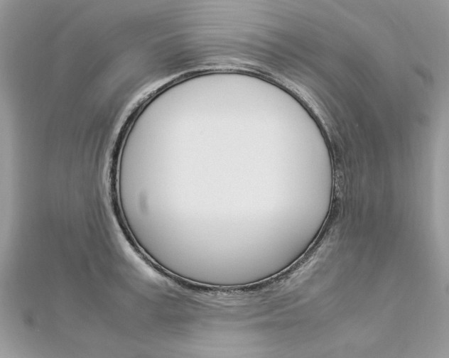 X0000113070995200908281006