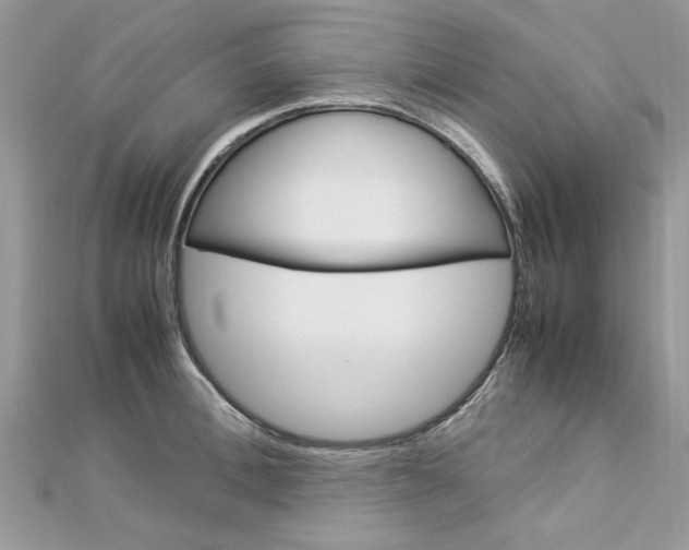 X0000113070996200908281006