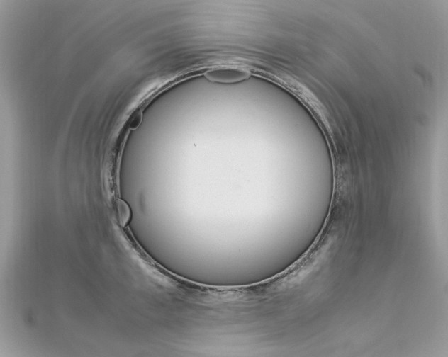 X0000113070997200908281006