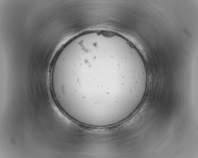 X0000113070998200908281006