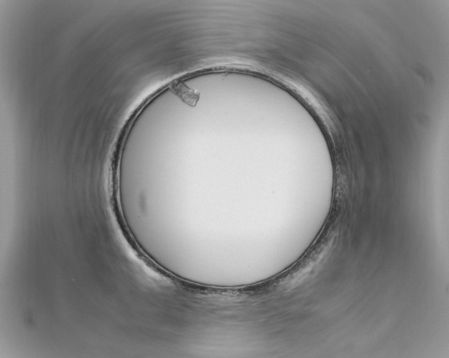 X0000113070999200908281006
