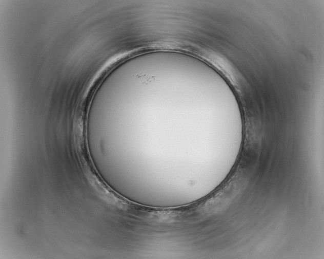 X0000113071000200908281006