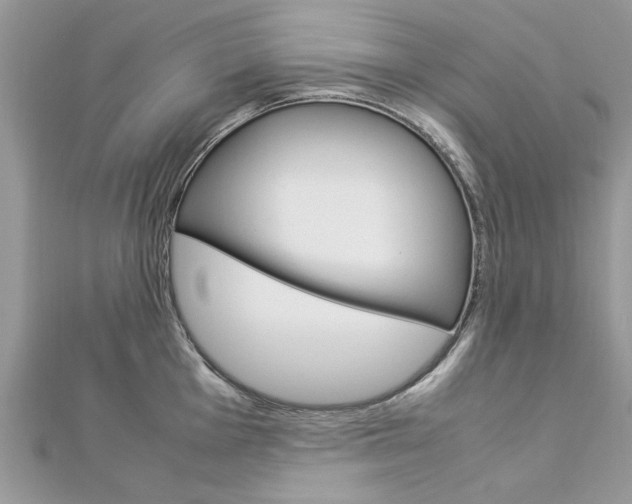 X0000113071001200908281006