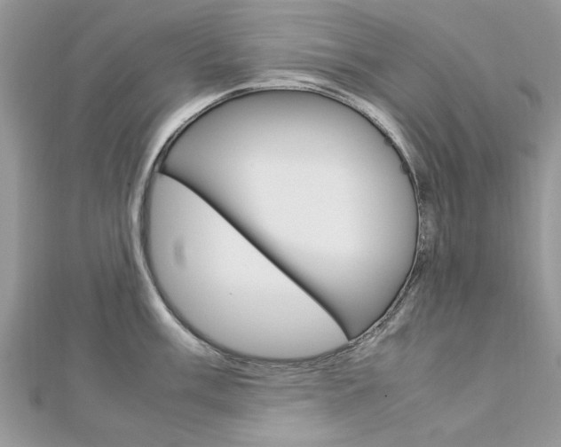 X0000113071003200908281006