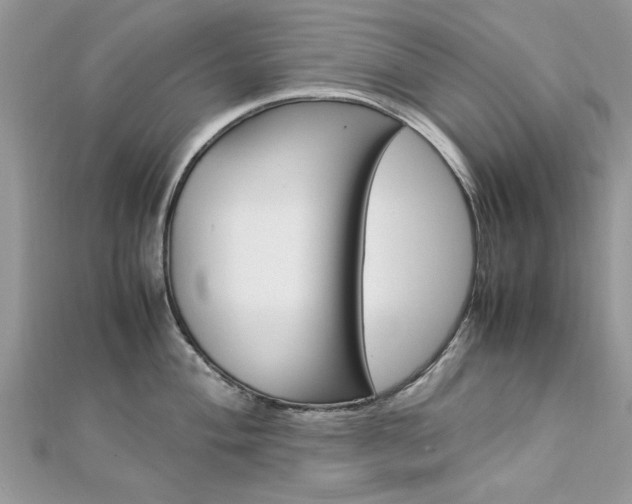 X0000113071004200908281005