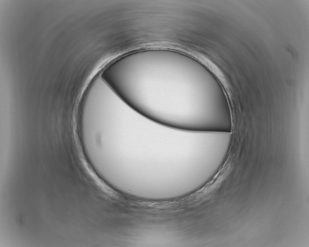 X0000113071005200908281005