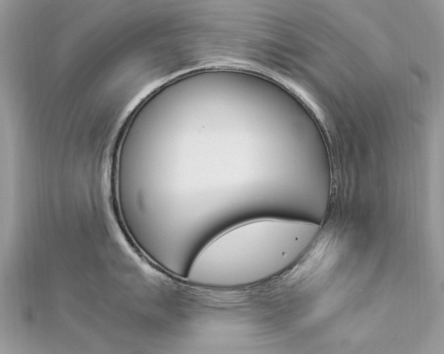 X0000113071007200908281005