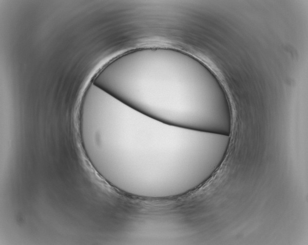 X0000113071008200908281005