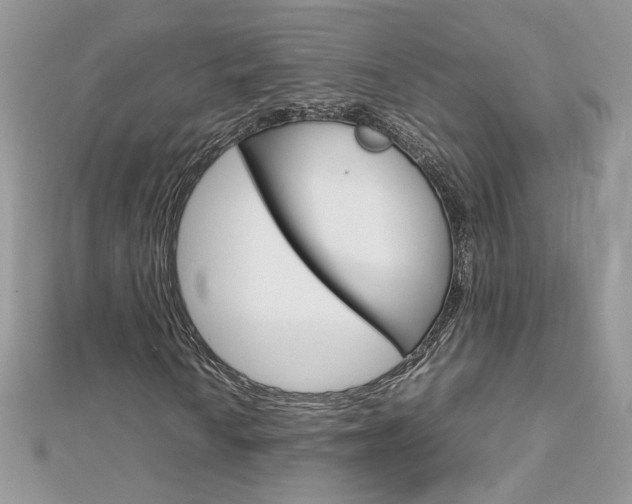 X0000113071010200908281005