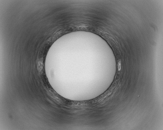 X0000113071011200908281005