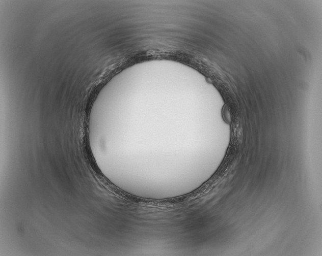 X0000113071012200908281005