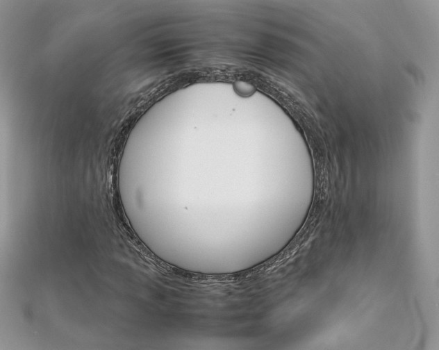 X0000113071013200908281005