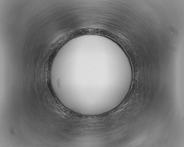 X0000113071014200908281005